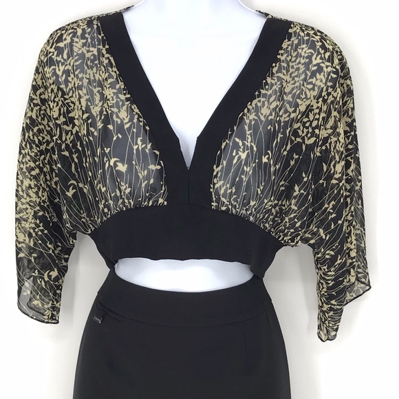 Tops - Black and Tan Sheer Cropped Top